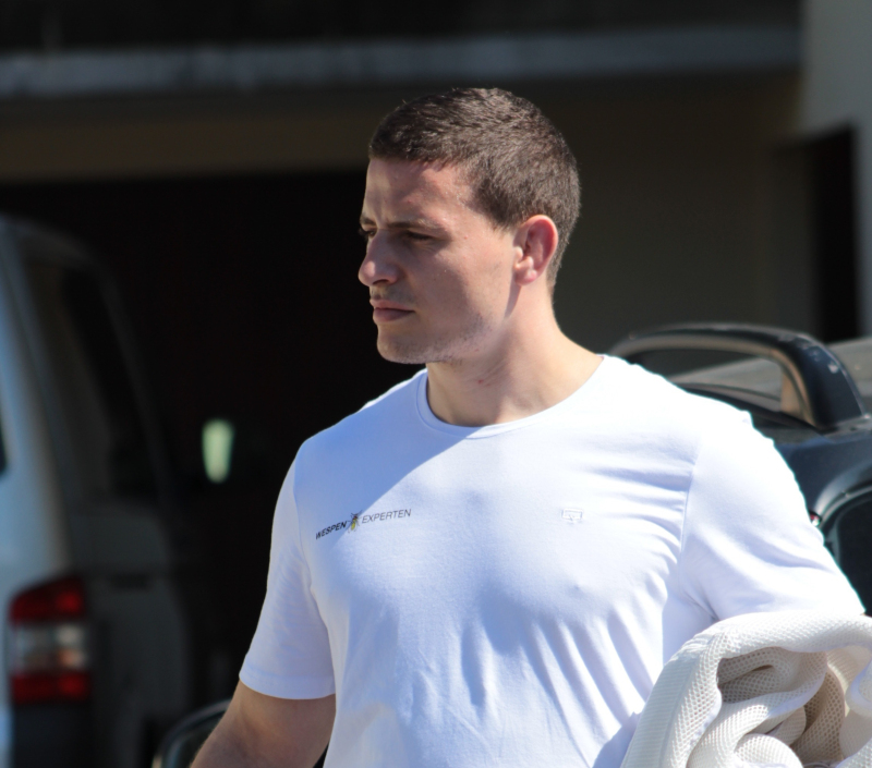 wespen loswerden basel