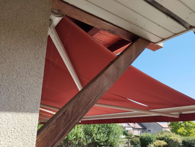 wespennest entfernen Liedertswil