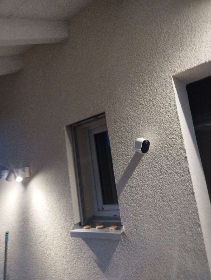 wespen-nest-basel Liedertswil.jpg