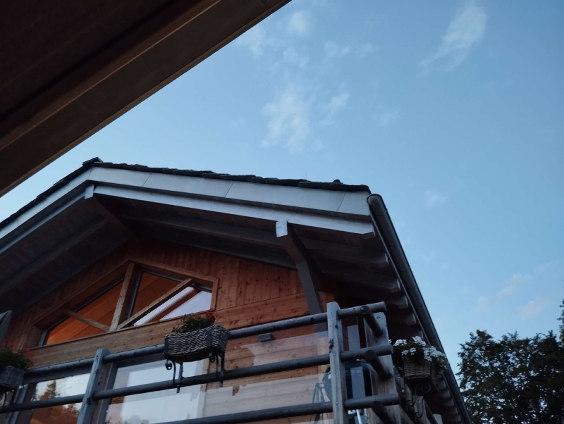 wespen-nest-basel Schönenbuch.jpg