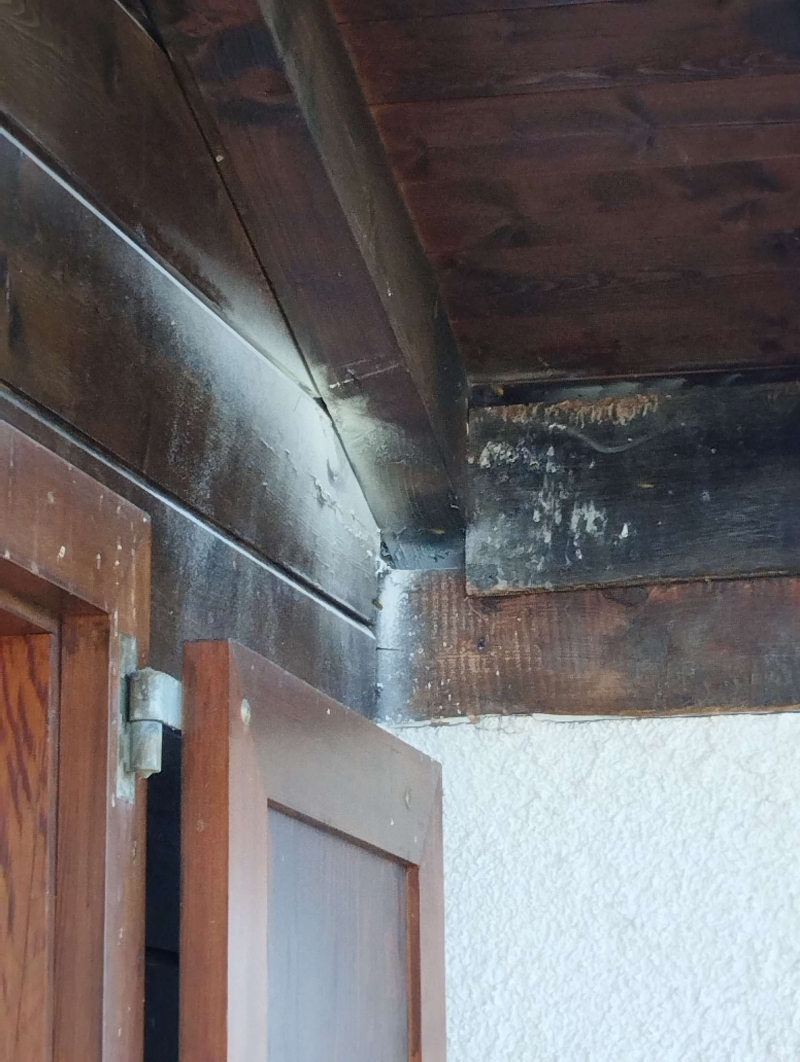 Wespen-entfernen Seltisberg