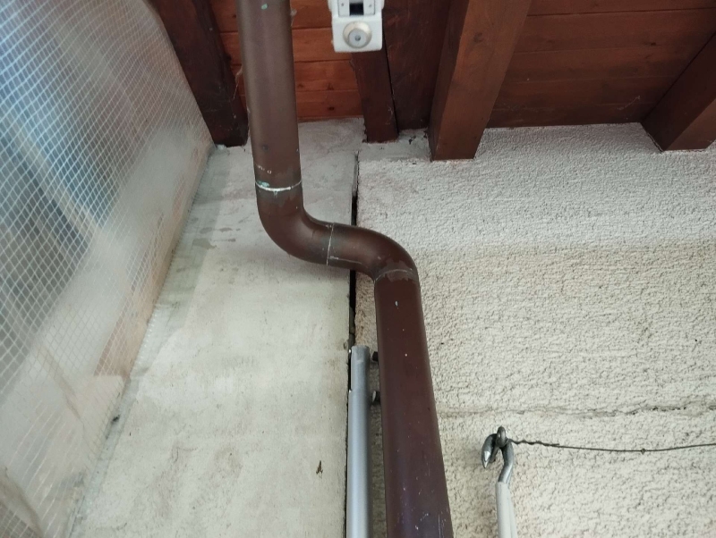 wespen-nest-basel Tecknau.jpg