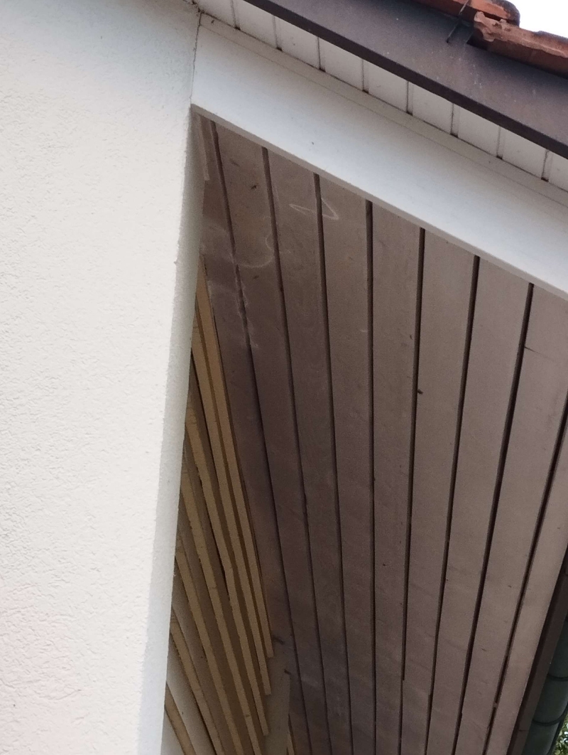 wespennest entfernen Tenniken