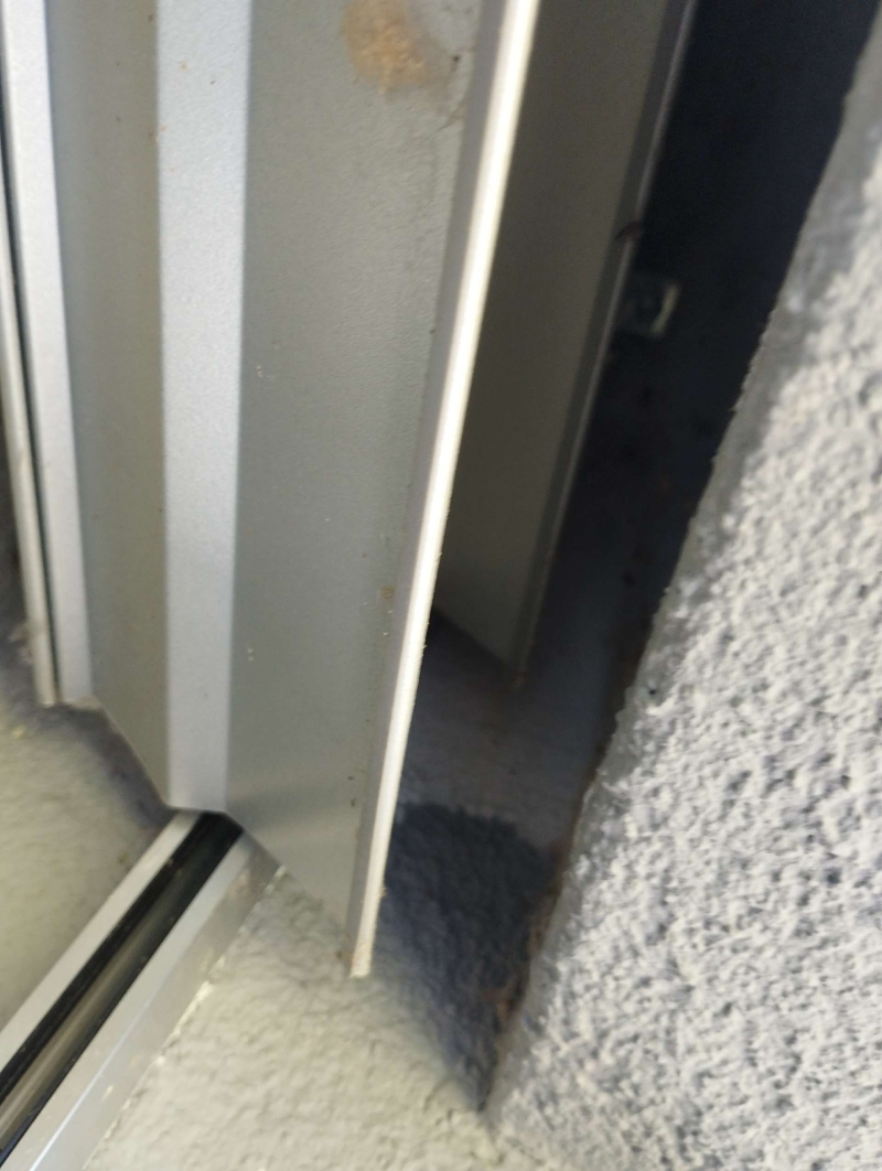 wespennest entfernen Liesberg