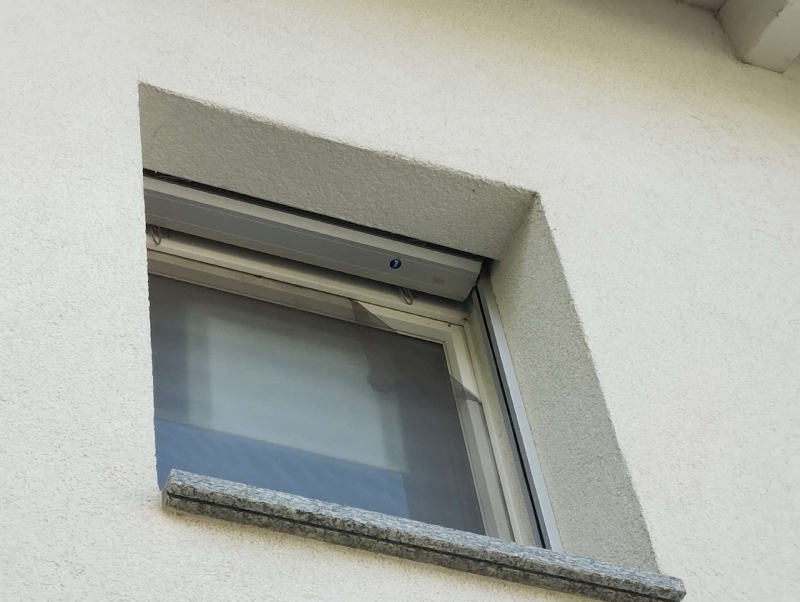 wespen-nest-basel Thürnen.jpg