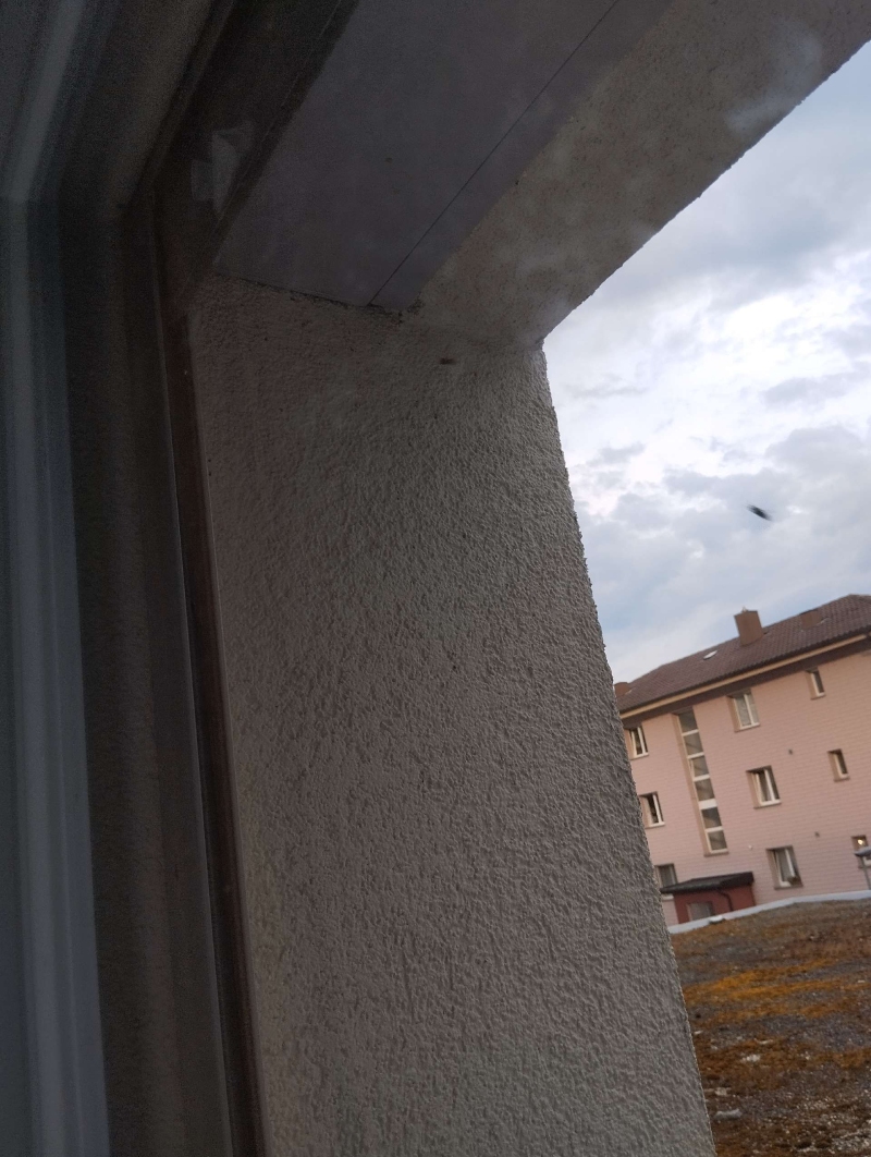 wespennest entfernen Waldenburg