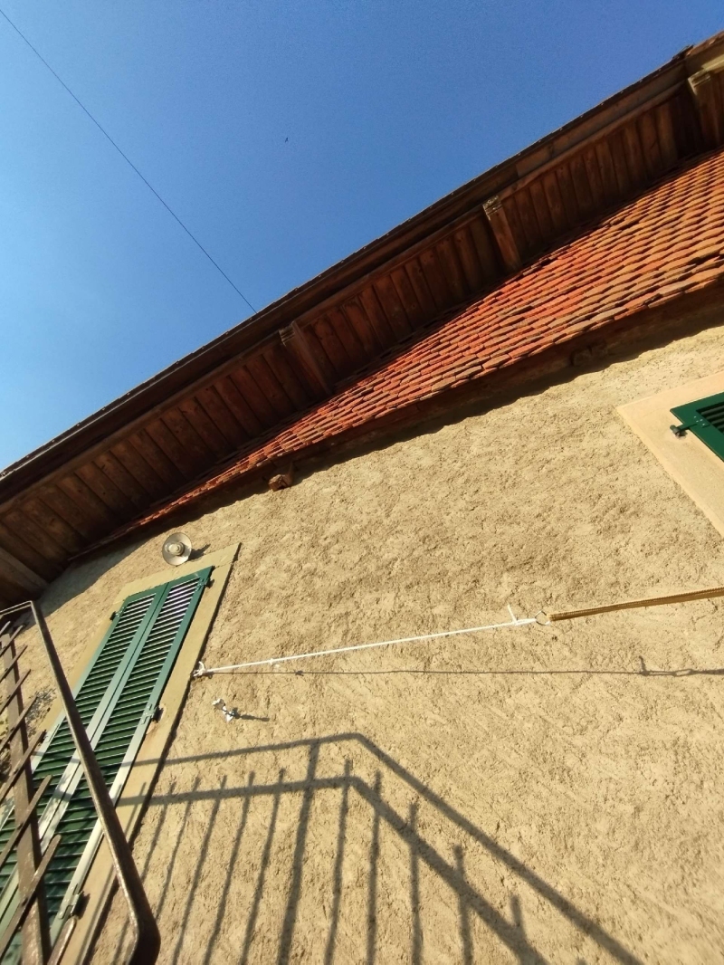 Wespen-entfernen Liesberg