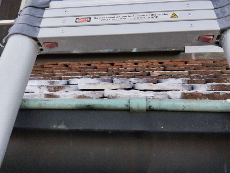 wespennest entfernen Blauen