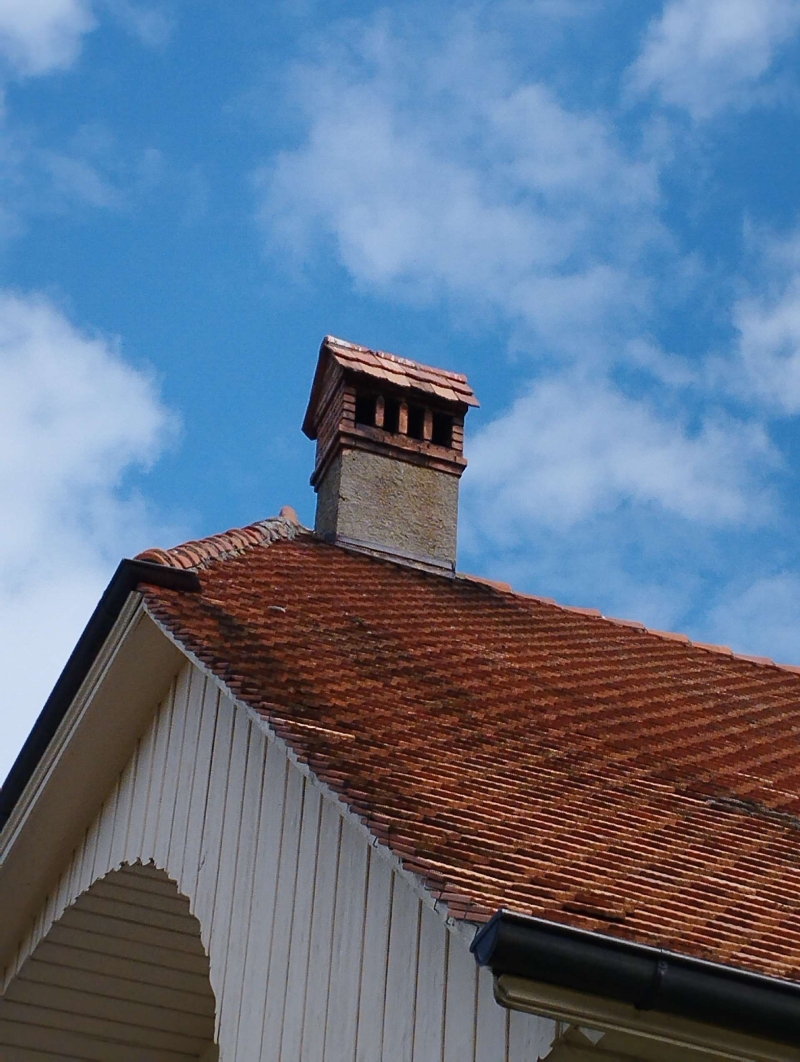 wespennest entfernen Brislach