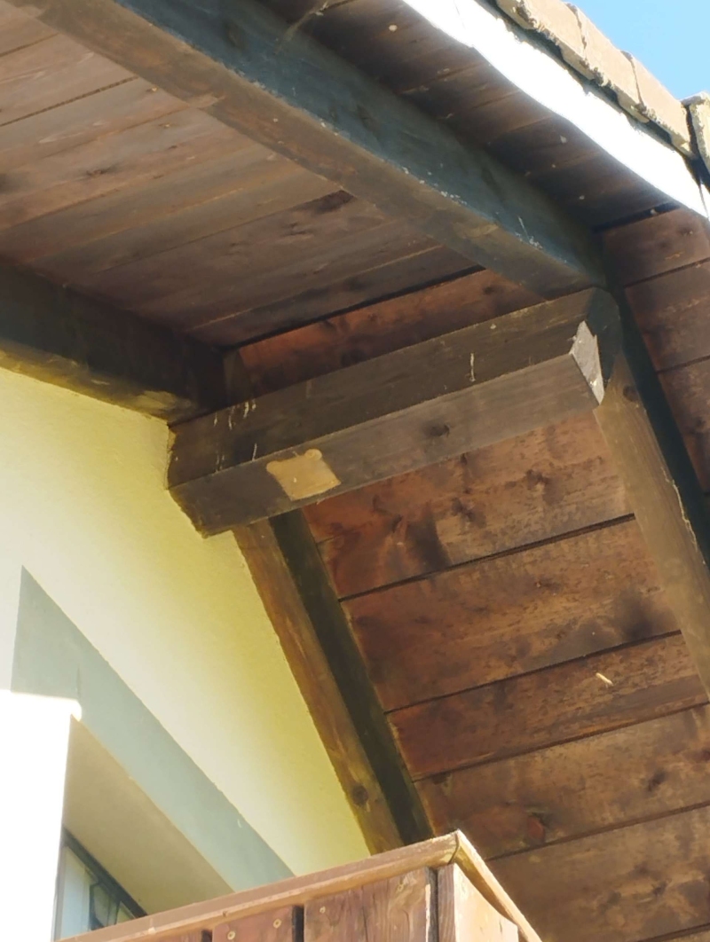 wespennest entfernen Bubendorf