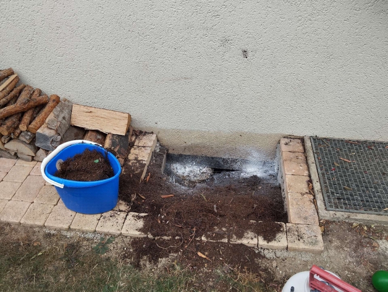 Wespen-entfernen Blauen