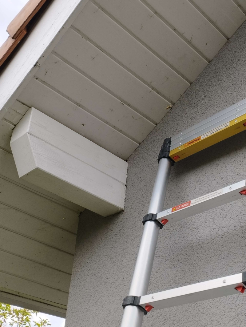 wespennest entfernen Brislach