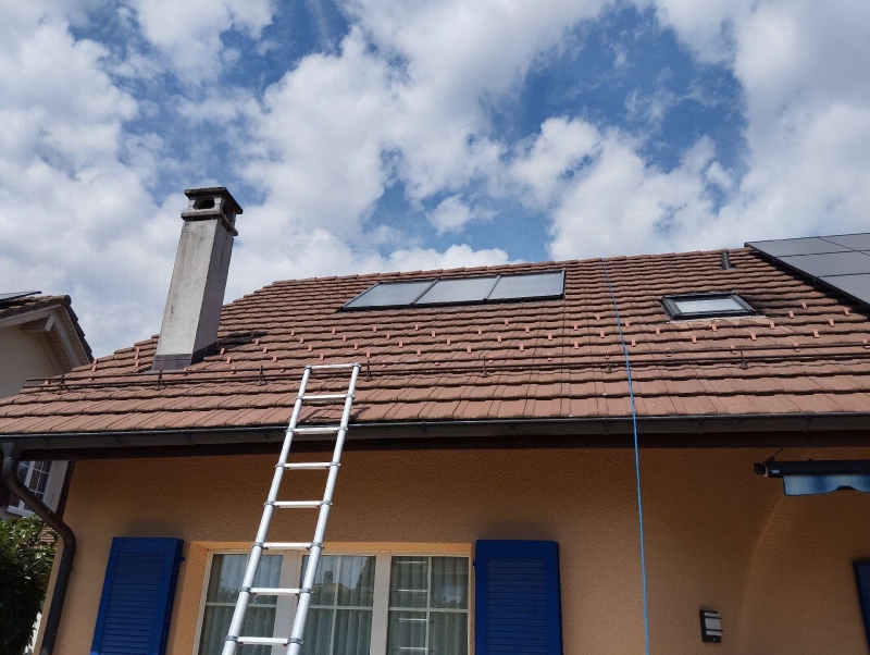 wespennest entfernen Buckten