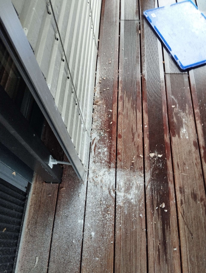 wespen-nest-basel Brislach.jpg