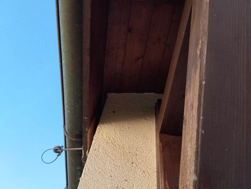 wespennest entfernen Burg im Leimental