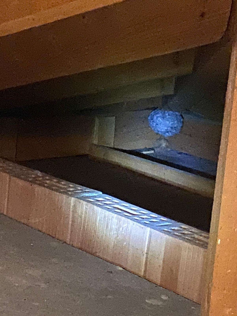 wespennest entfernen Füllinsdorf