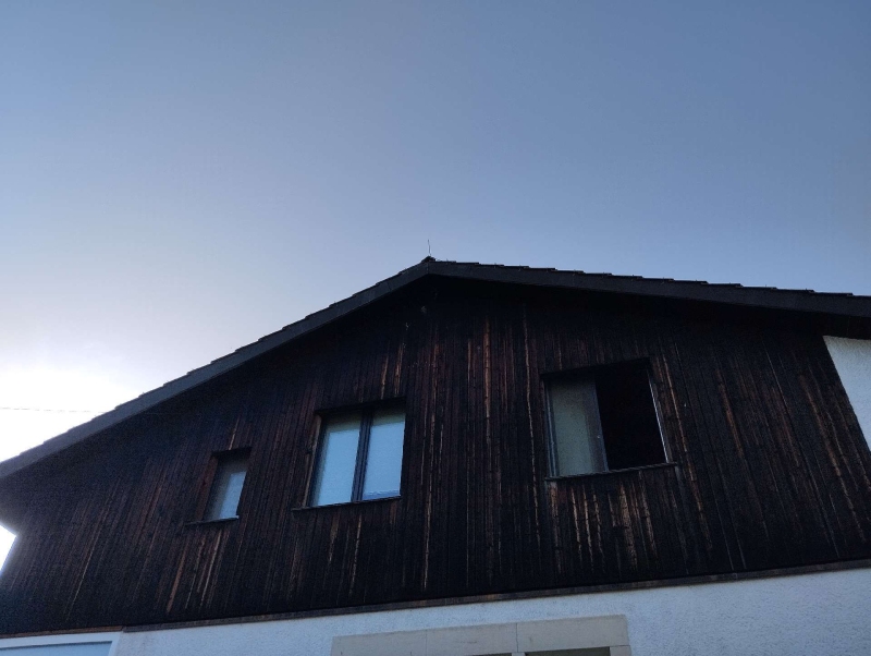 wespennest entfernen Füllinsdorf