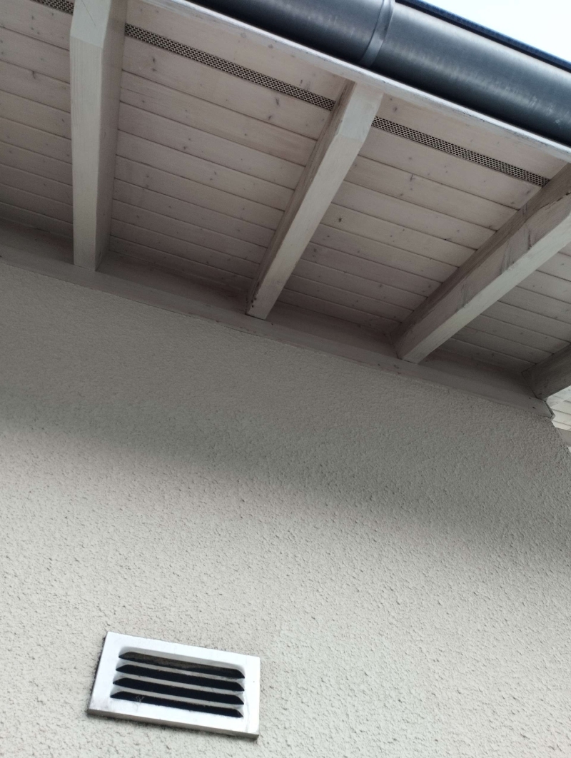 wespennest entfernen Gelterkinden