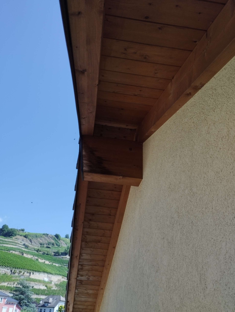 wespennest entfernen Lupsingen