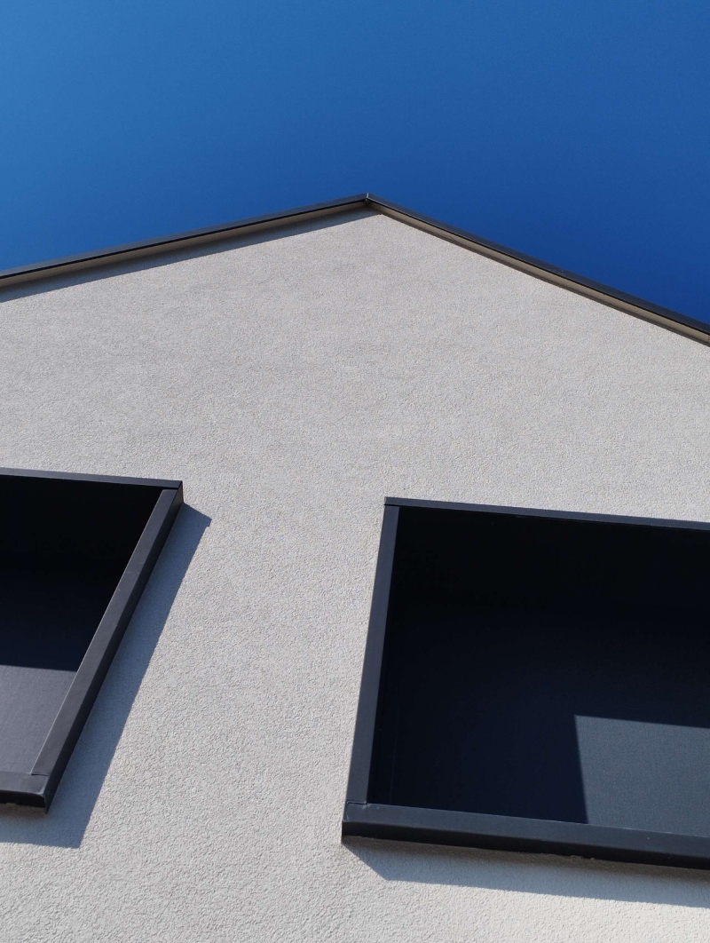 wespennest entfernen Grellingen