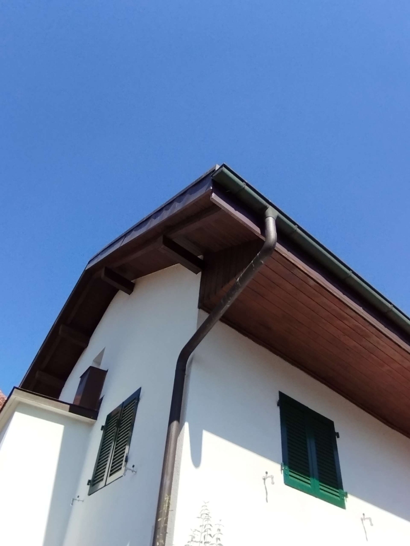 wespen-nest-basel Gelterkinden.jpg