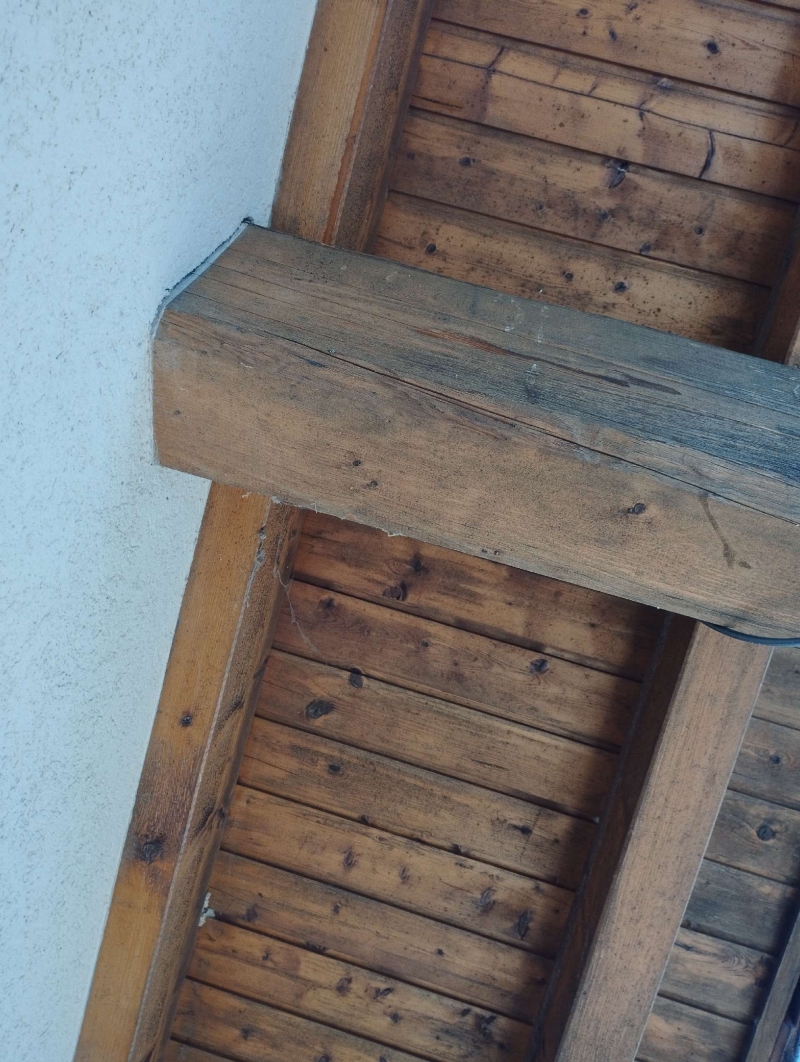 Wespen-entfernen Gelterkinden