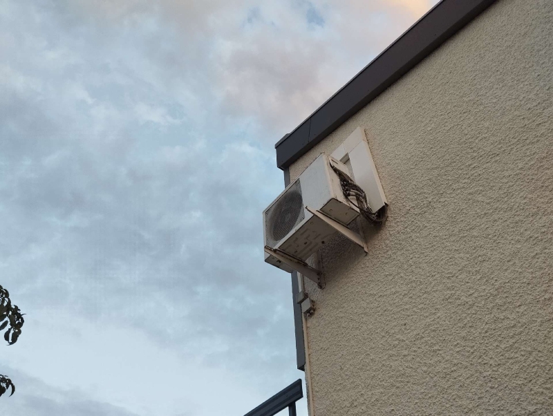 Wespen-entfernen Grellingen