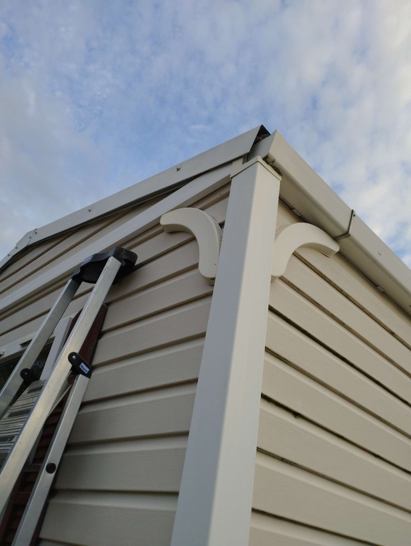 Wespen-entfernen Lupsingen