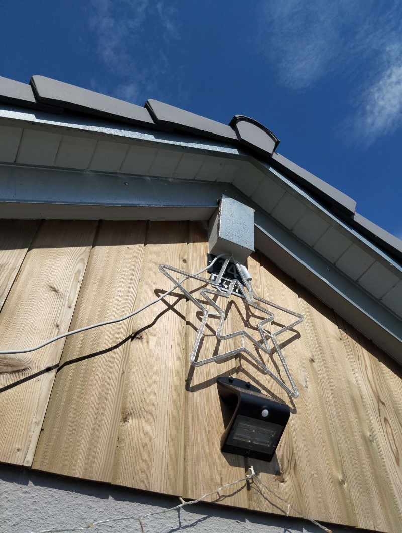 wespen-nest-basel Hersberg.jpg