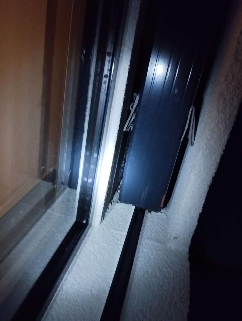 wespen-nest-basel Itingen.jpg