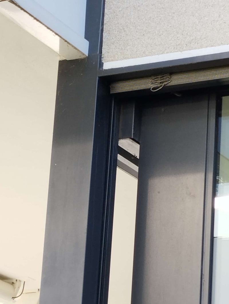 wespennest entfernen Lampenberg