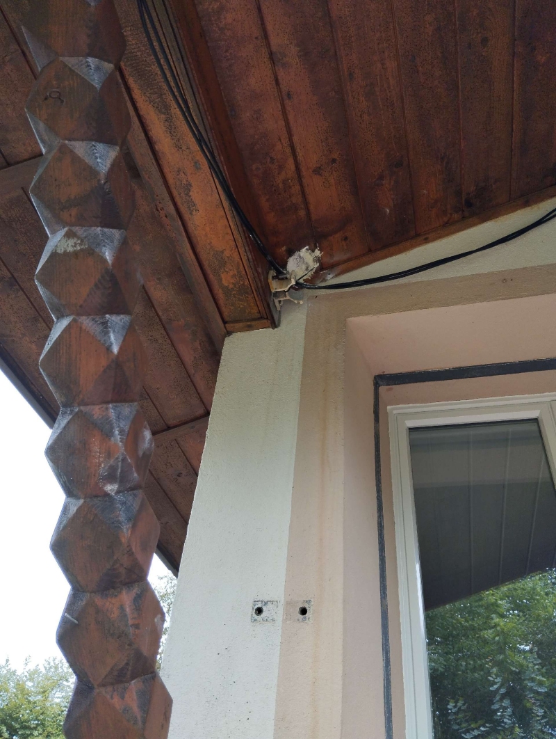 wespennest entfernen Känerkinden