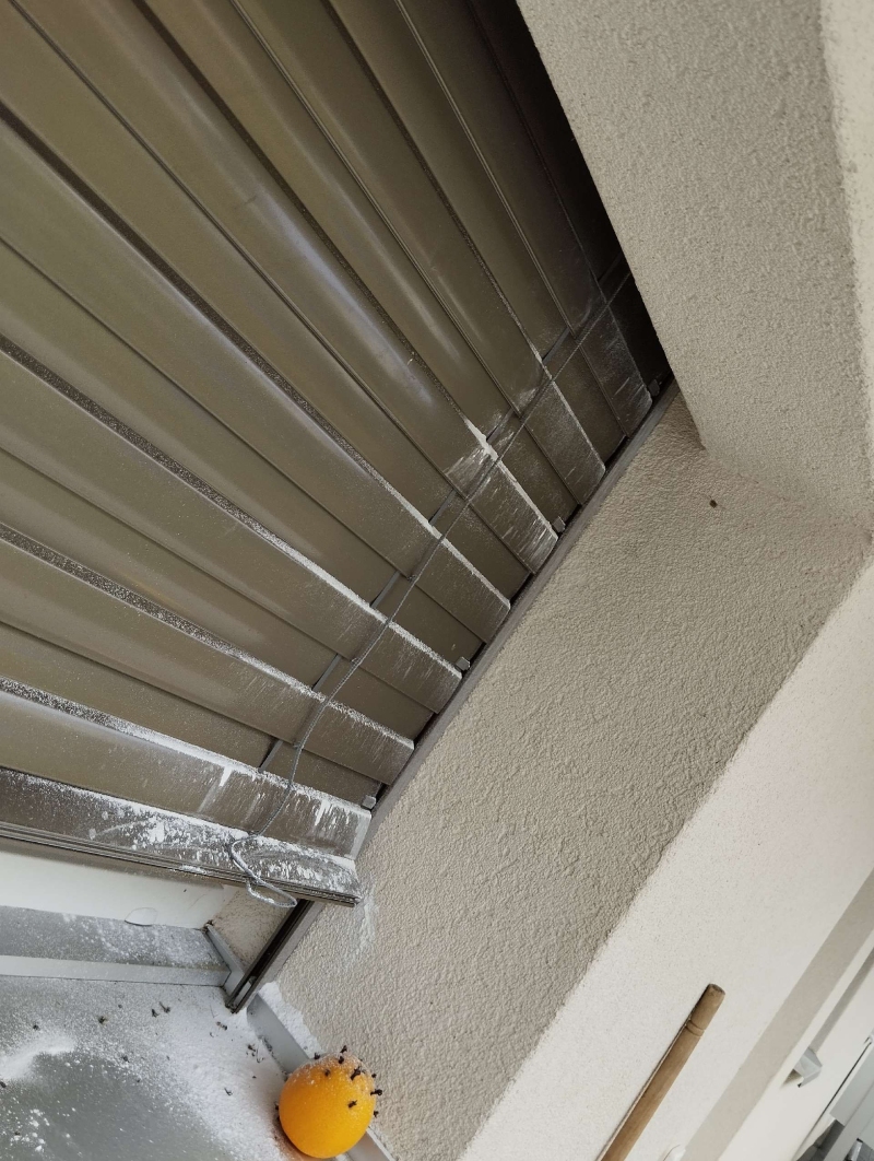 wespennest entfernen Nusshof