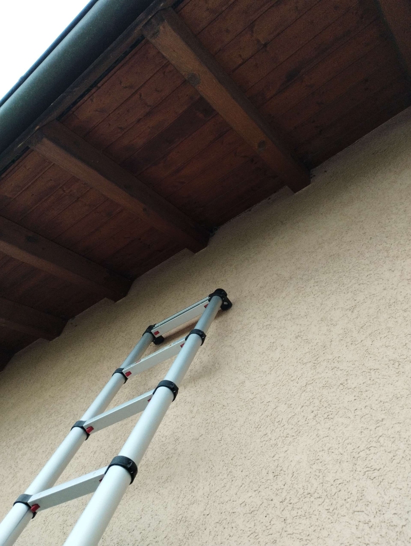 Wespen-entfernen Nenzlingen