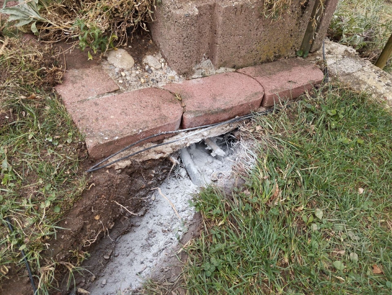 wespennest entfernen Pfeffingen