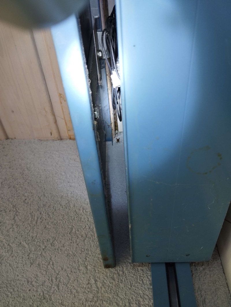 wespen-nest-basel Ormalingen.jpg