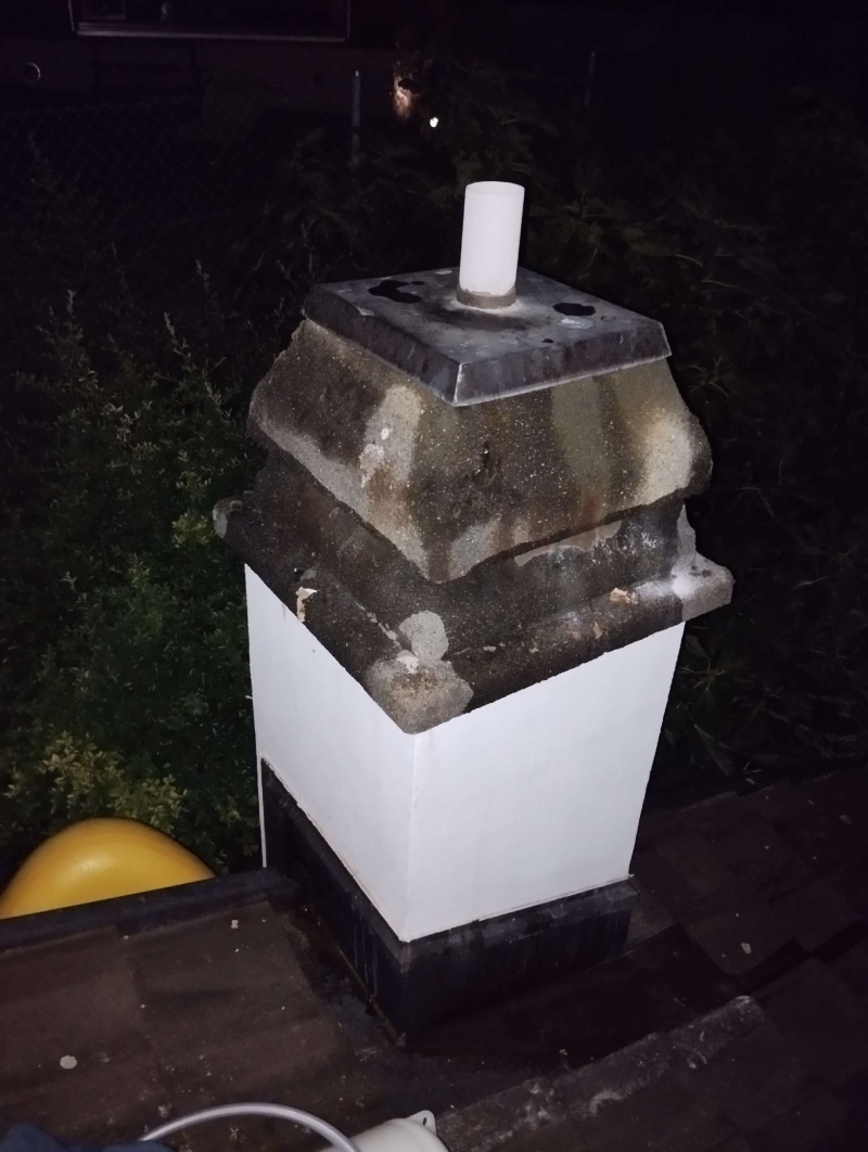 wespen-nest-basel Roggenburg.jpg