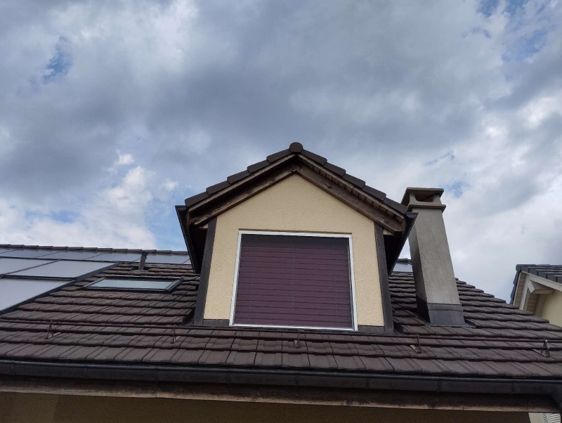 wespen-nest-basel Pratteln.jpg