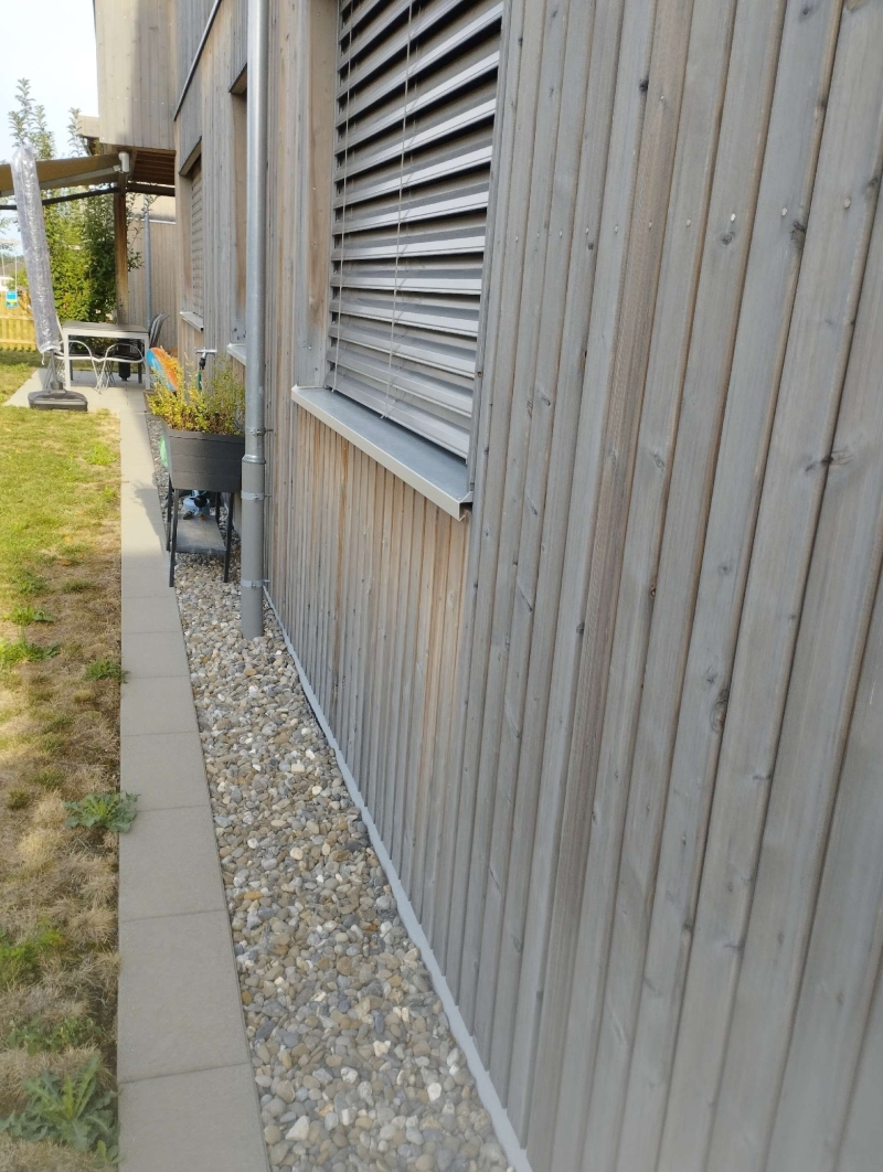 wespennest entfernen Liedertswil